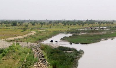 Berges de la rivière Jhelum, appelée Hydaspe par les Anciens