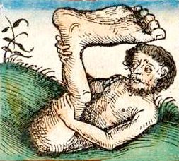 Sciapode - Illustration du ‘Liber chronicarum’ de Wilhelm Pleydenwurff – 1493 - Bayerische Staatsbibliothek