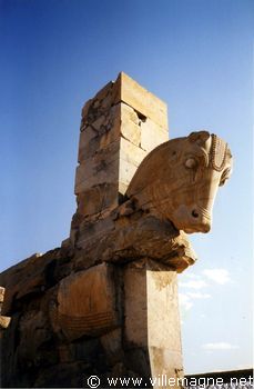 Palais de Darius à Persépolis : chapiteau à tête de cheval