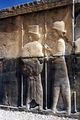 Persépolis : la procession des guerriers sur les murs du palais de Darius 2