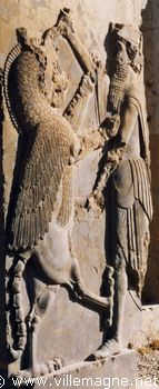 Persépolis : lutte contre un griffon au palais de Darius