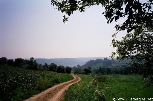 Campagne de Transylvanie à l’approche du village de Kastenholz - Roumanie