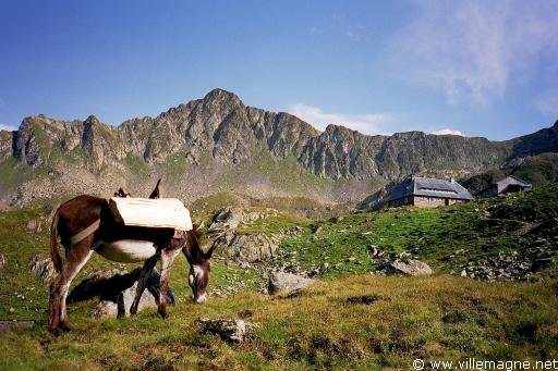 Carpates - refuge de Podragu dans le massif des Făgăraş - Roumanie
