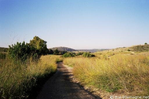 Chemin de Galilée - Israël 