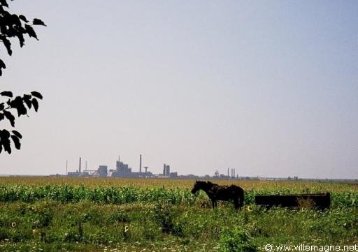 La grande plaine danubienne se poursuit en Roumanie.