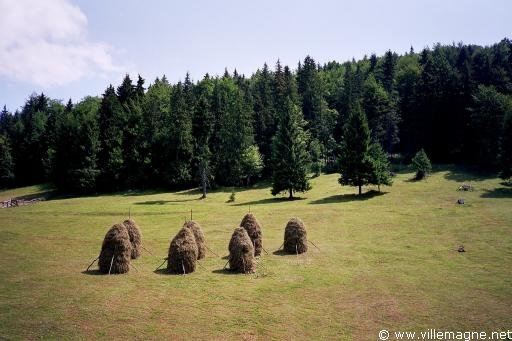 Monts Apuseni - Roumanie