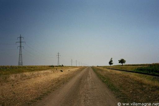 Plaine danubienne au sud de la Roumanie 