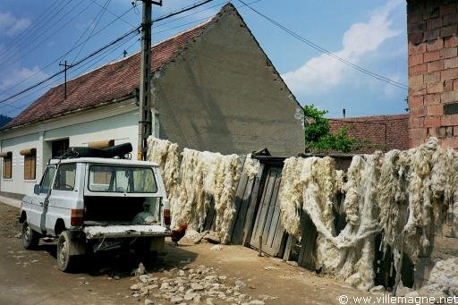 Séchage de la laine - Roumanie