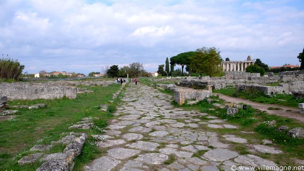 La <em>Via Sacra</em> de Paestum - Au fond à droite, le temple de Cérès